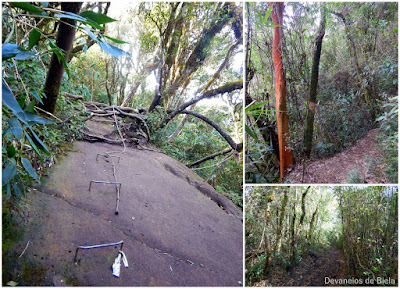 Trekking no Paraná - Trilha Morro Itapiroca