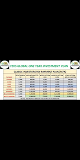 Teksglobal Value chain investment plan