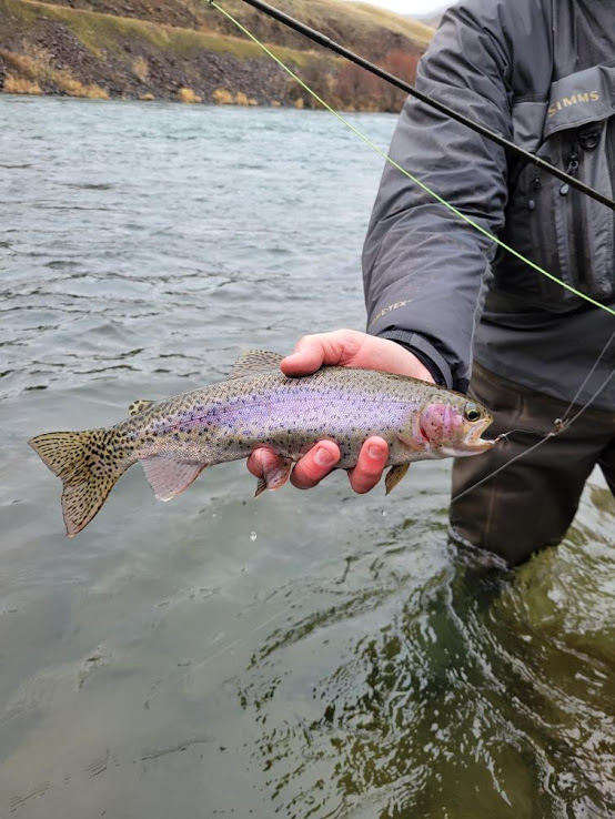 Gorge Fly Shop Blog: March 2023