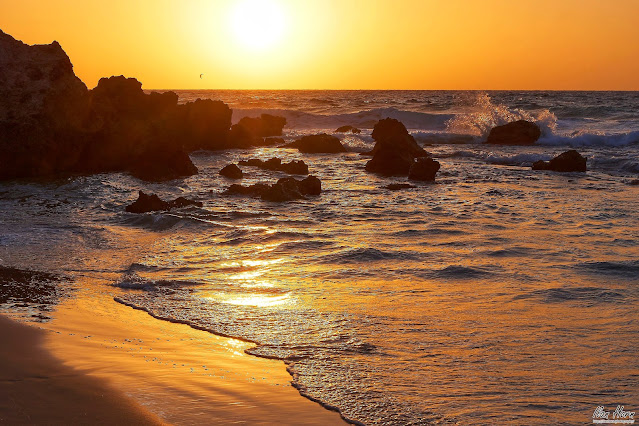 Beach at Sunset