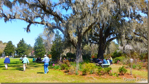 Magnolia Plantation_212