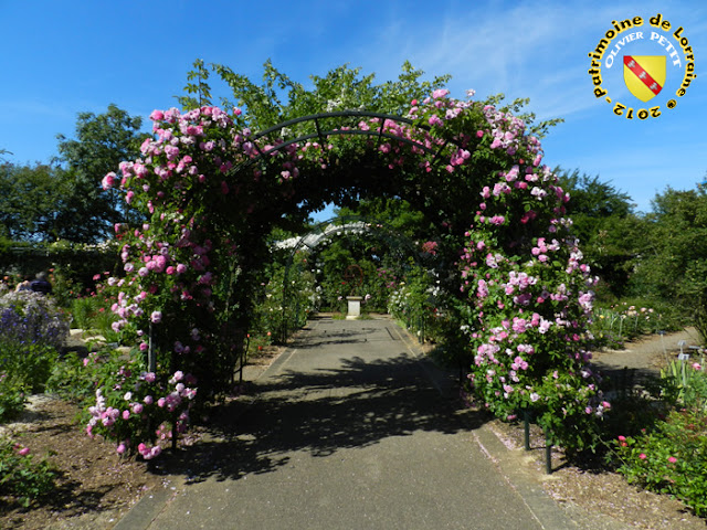 VILLERS-LES-NANCY (54) - La roseraie du Jardin botanique du Montet