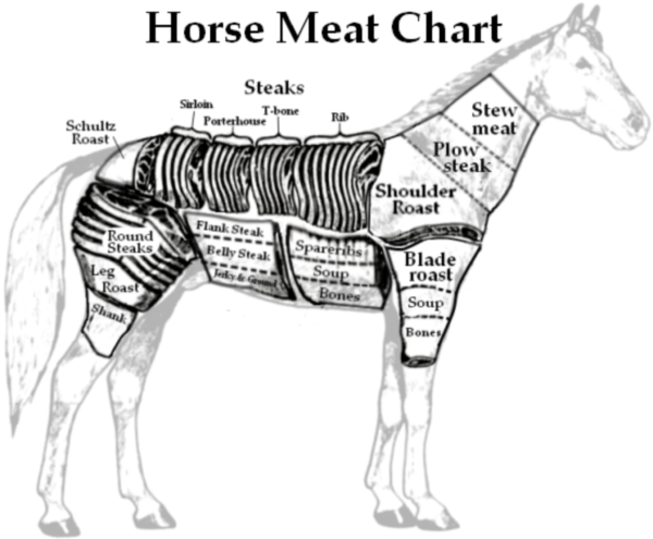 The Ethics of Equine Rescue: The Grim Facts – Horsemeat and What It&#39;s Worth