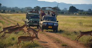 Tanzania Private Safari Tours