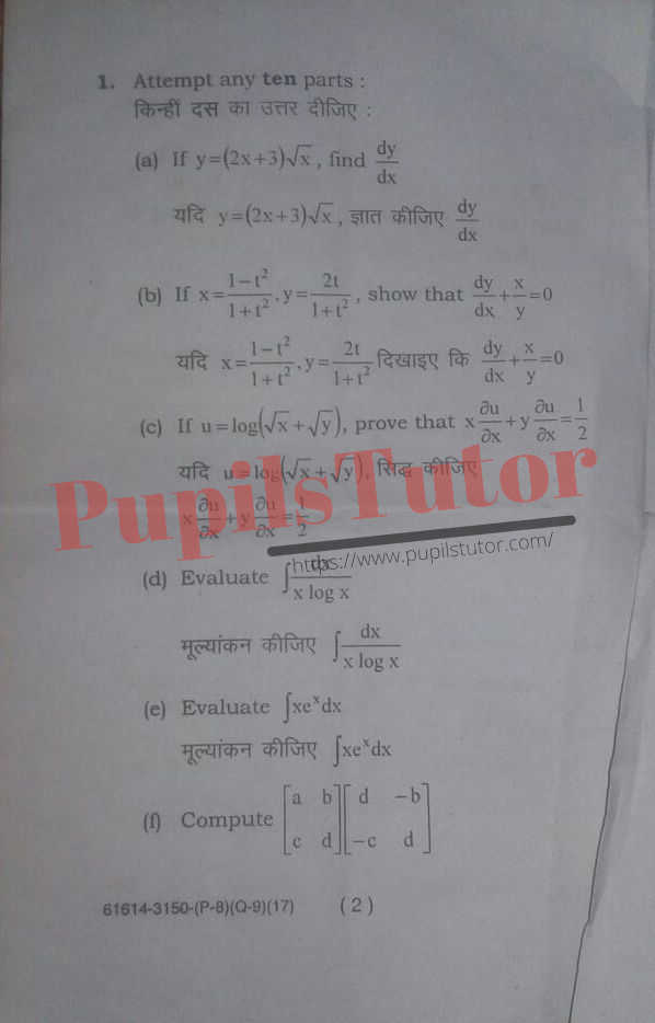 M.D. University B.Com. Business Mathematics First Year Important Question Answer And Solution - www.pupilstutor.com (Paper Page Number 2)