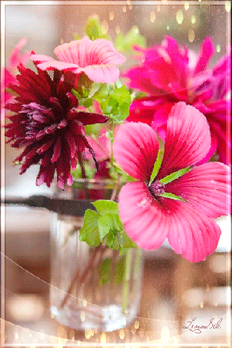 Decent Image Scraps: Flower Animation