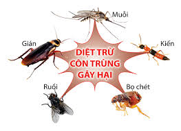 Phun muỗi tại quận Ba Đình