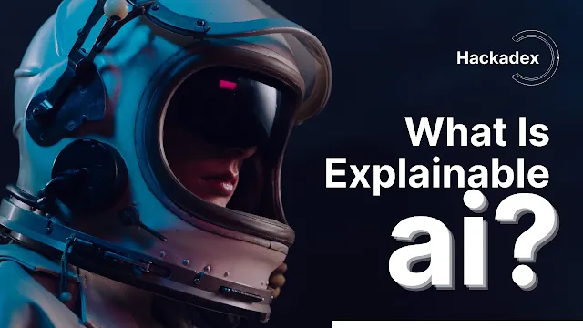 Explainable AI for Small Businesses