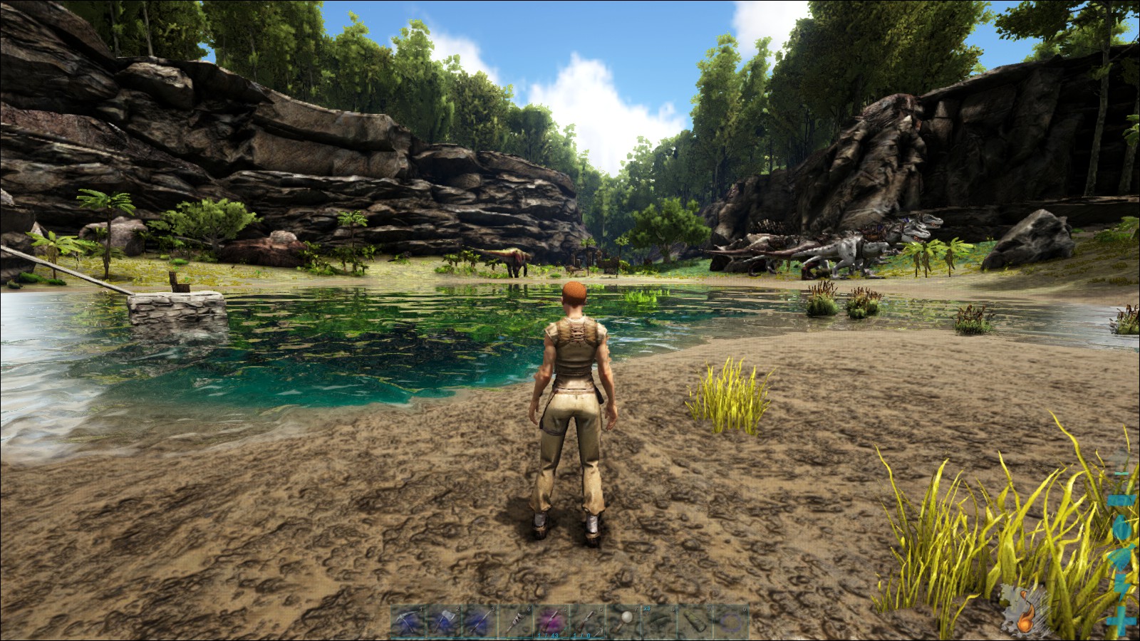 Passione Inc 年版 3d酔いする人のためのark Survival Evolved Passione Inc 年版 3d酔いする人のためのark Survival Evolved