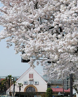 国立駅の三角屋根と桜