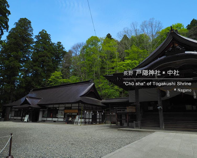 戸隠神社：中社