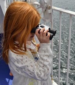 Searching for dolphins in the North Sea aboard DFDS Seaways