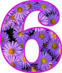 numero 6 con margaritas blancas, numero 6 morado