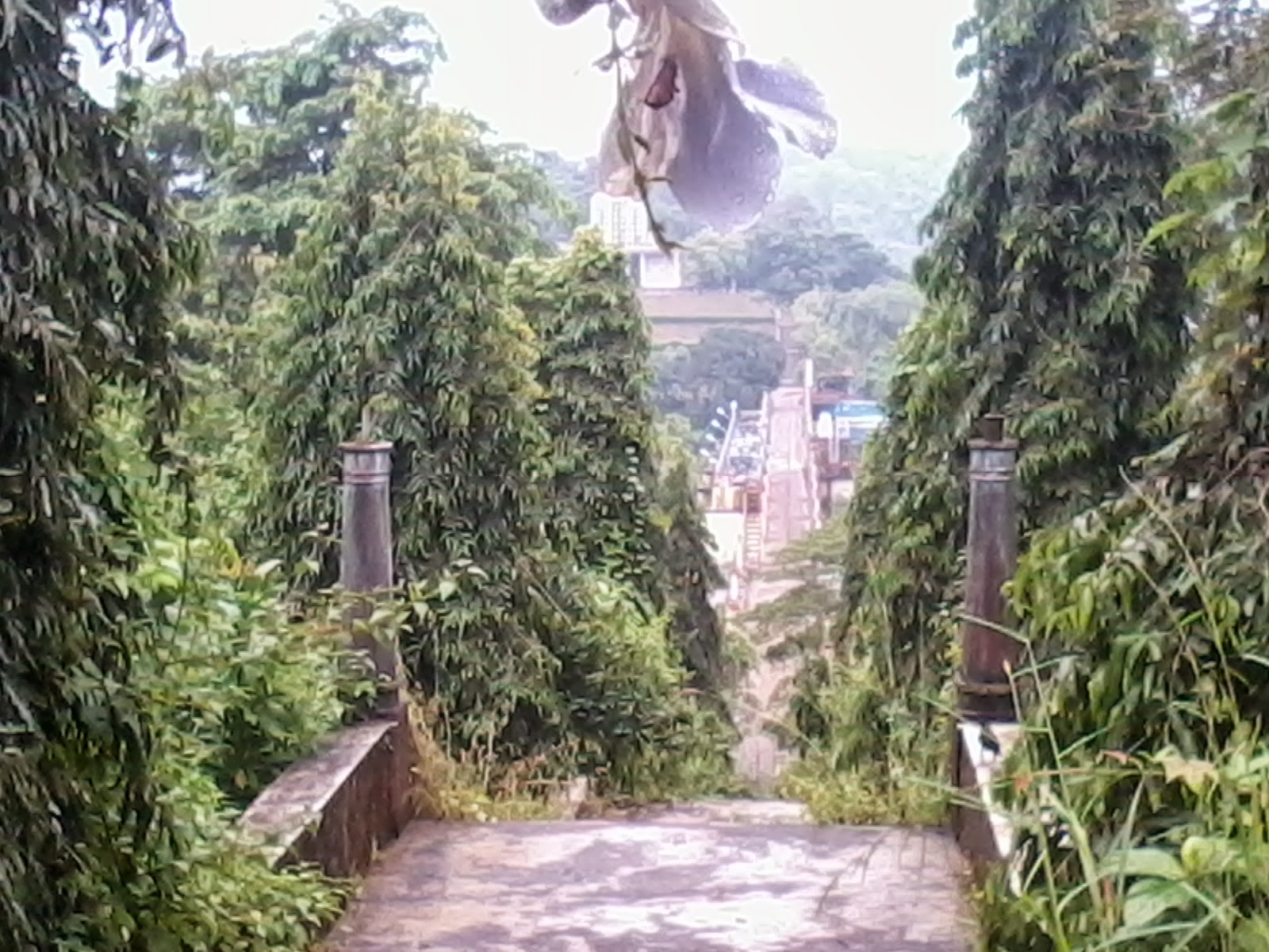 Peechi Dam, Park, Garden