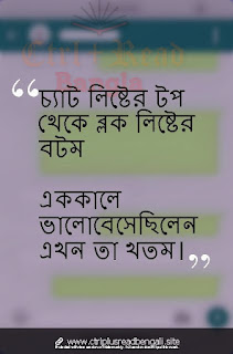 Bengali Sad Sayari
