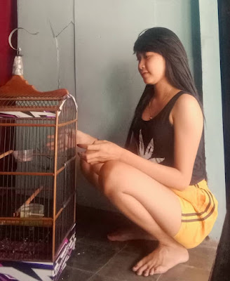 Para Wanita Peternak Burung Murai Batu