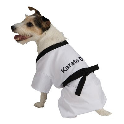 Karate Dog Story