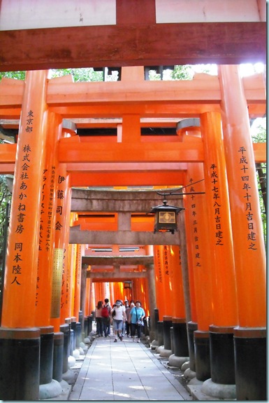 DSCF0052