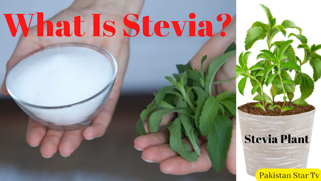 What Is Stevia? Natural Stevia vs Processed Stevia