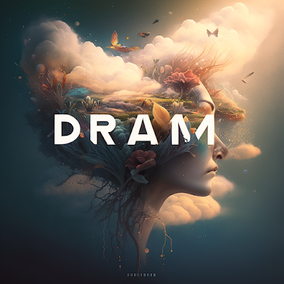 Dream in 3d