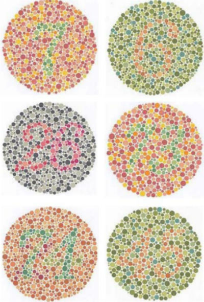  Cara pemeriksaan buta warna salah satunya dengan tes  Contoh Tes Buta Warna Ishihara Lengkap Dengan Pengobatannya Bagi Penderita Buta Warna 