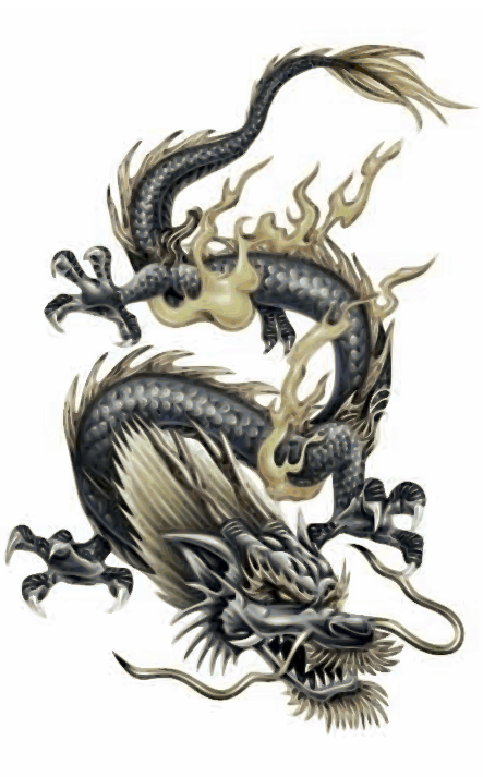 Japanese Dragon Sleeve Tattoo