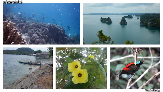 holiday trip to Raja Ampat islands