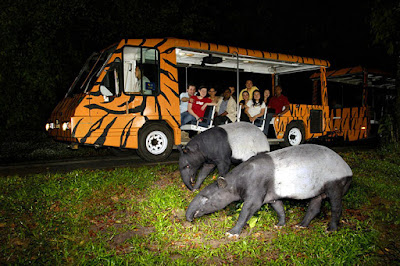 Night Safari Tour - trips Wheel Pvt Ltd