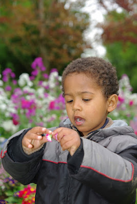 Nathanaël occupé à dépioter une fleur