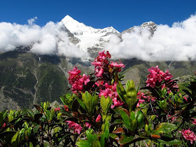 Tour de Monte Rosa zdjęcia