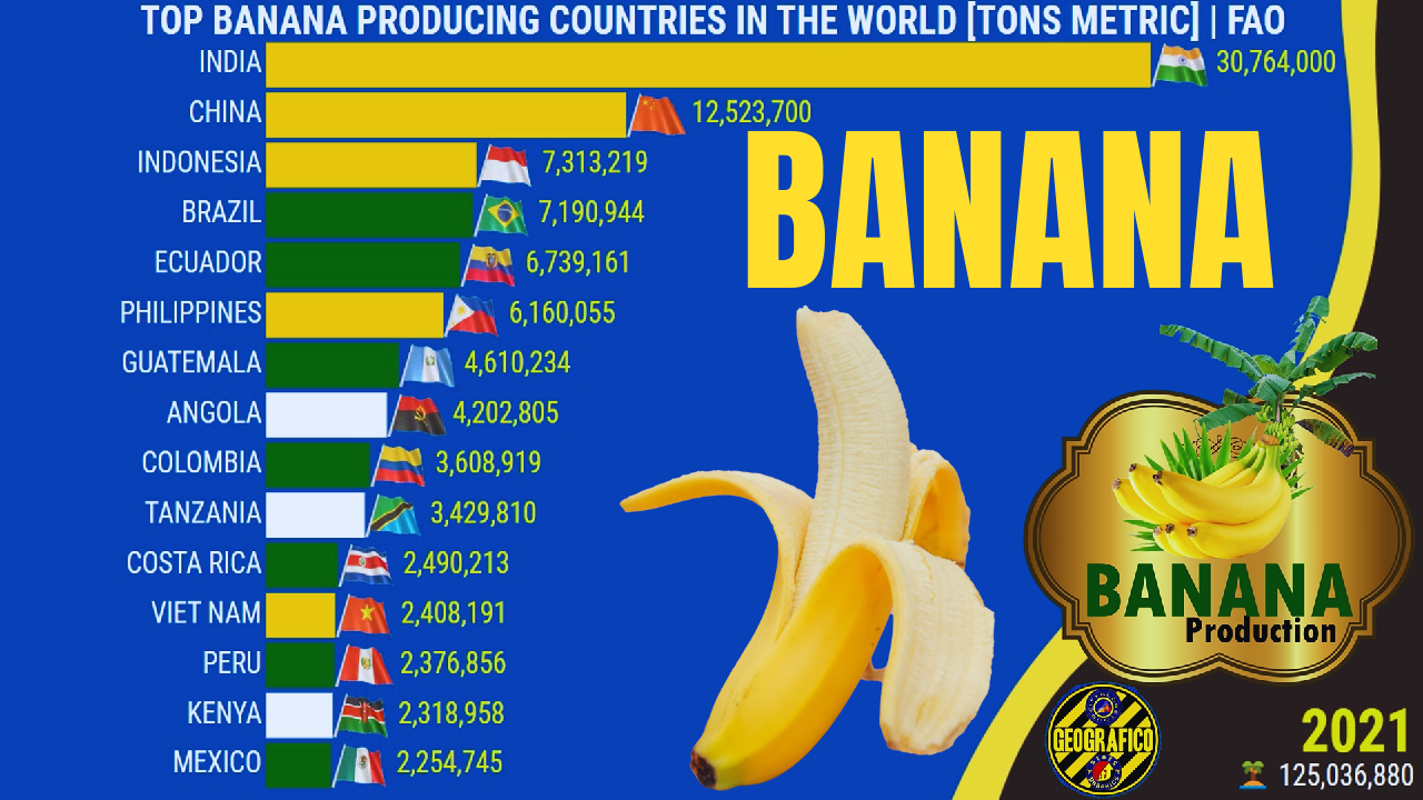 Os Maiores Produtores de Banana do Mundo