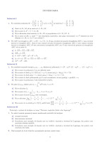 Subiecte matematica - titularizare 2009 (judetul Hunedoara)