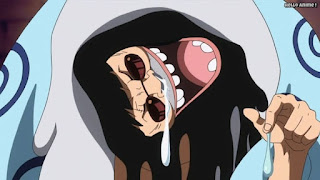 ワンピースアニメ ドレスローザ編 675話 トレーボル | ONE PIECE Episode 675