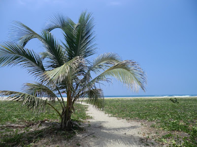 parque nacional tayrona