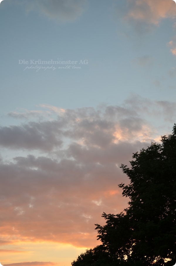 my sky #7