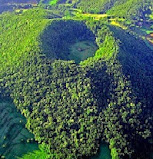 Bosques de encinas, encinares