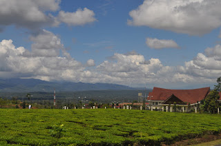 Jual Obat Kencing Nanah De Nature di Kota Pagar Alam