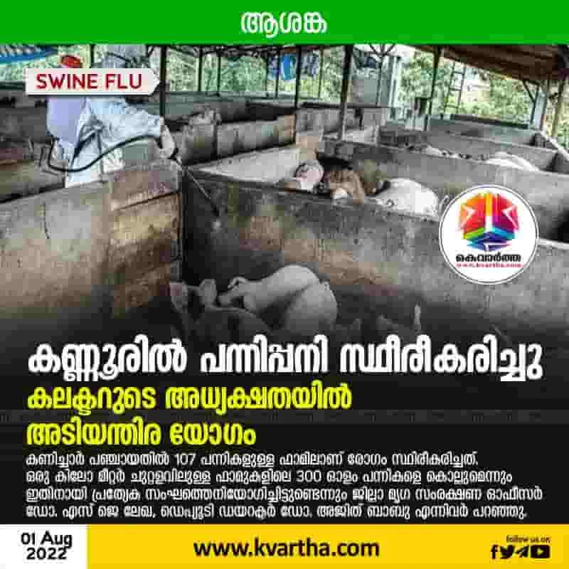 News,Kerala,State,Kannur,Health,Health and Fitness,District Collector,Top-Headlines,Trending, Swine Flu confirmed in Kannur