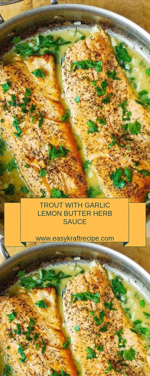 TROUT WITH GARLIC LEMON BUTTER HERB SAUCE