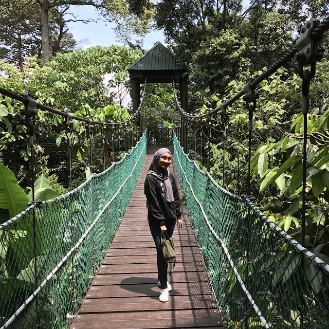 Lepak KL Forest Eco Park : Entri Bergambar