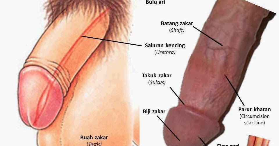 RAWATAN PULIH MASALAH LEMAH SYAHWAT TINGKAT NAFSU  WAK 