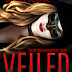 Review for Veiled by Stacey Rourke