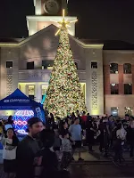 A huge Christmas Tree
