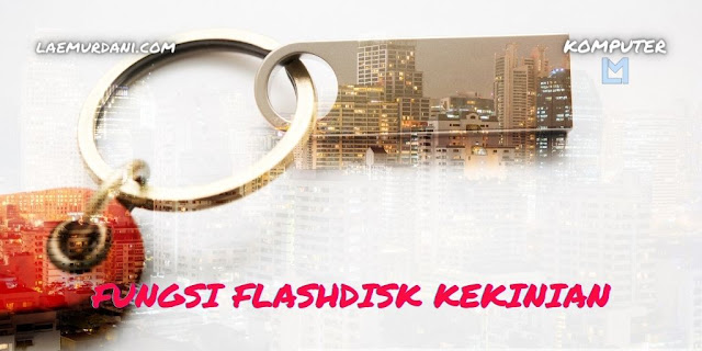 FUNGSI FLASHDISK KEKINIAN