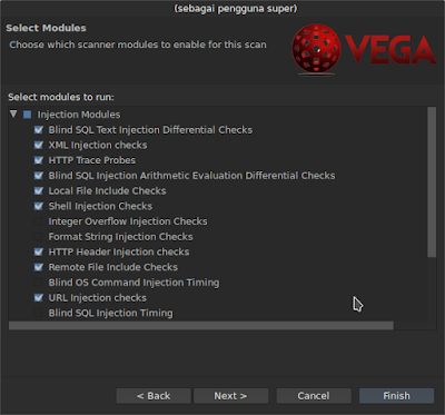 Cara Scan Vuln Website dengan Vega