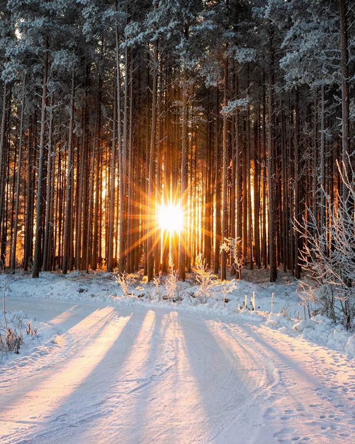 Winter nature of Finland through the lens of Jukka Risikko