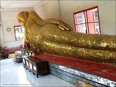 IMG_3746