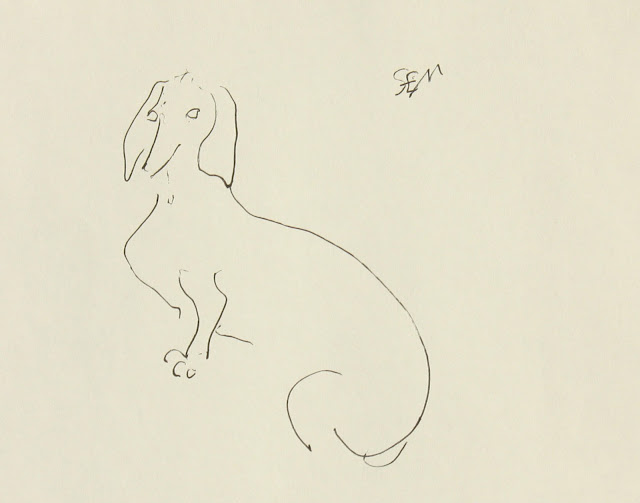 Dachshund, Portrait, dog, Sarah Myers, S. Myers, Ink, Paper, sketch, drawing, line-drawing, study