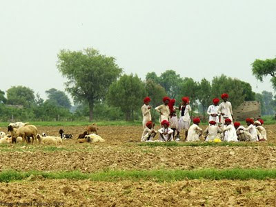 Pastores de Rajasthán