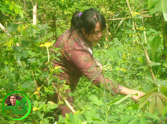 FOTO : Istri admin sedang ngundeur